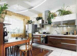 Interior Design for Indoor Plants